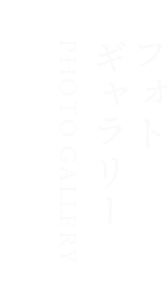 フォトギャラリー PHOTO GALLERY